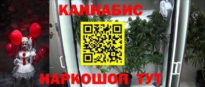 гашиш Кингисепп
