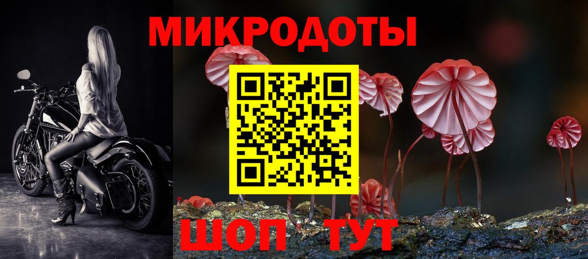 что такое наркотик  Псилоцибиновые грибы прущие грибы  Вход с VPN  Кузнецк 
