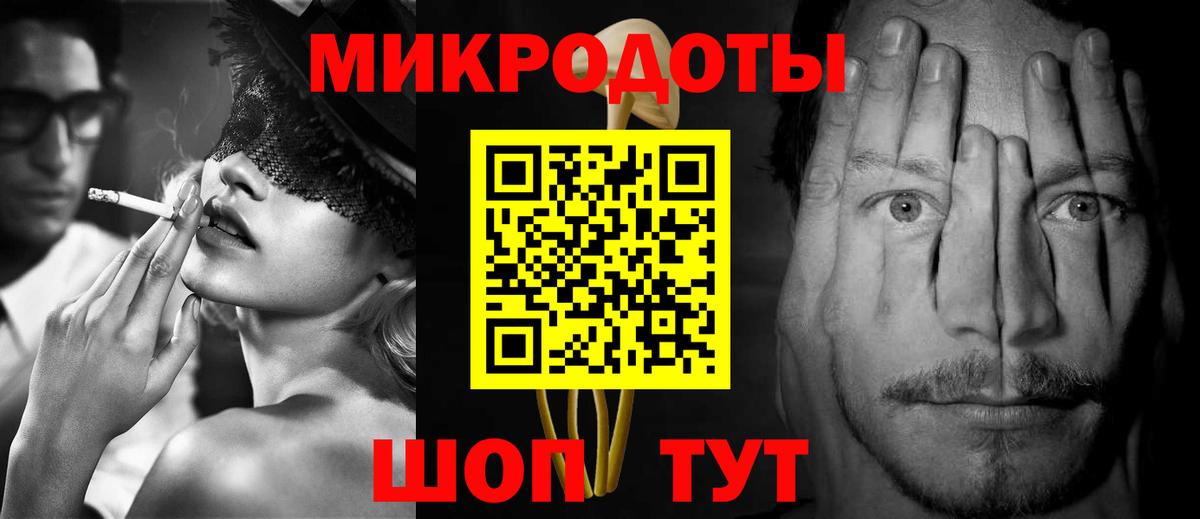 Псилоцибиновые грибы Psilocybe Кузнецк